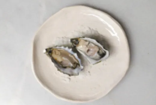 Descripción de la imagen